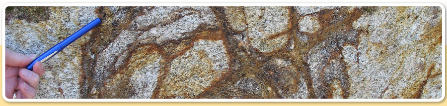 Baltica Consulting 02